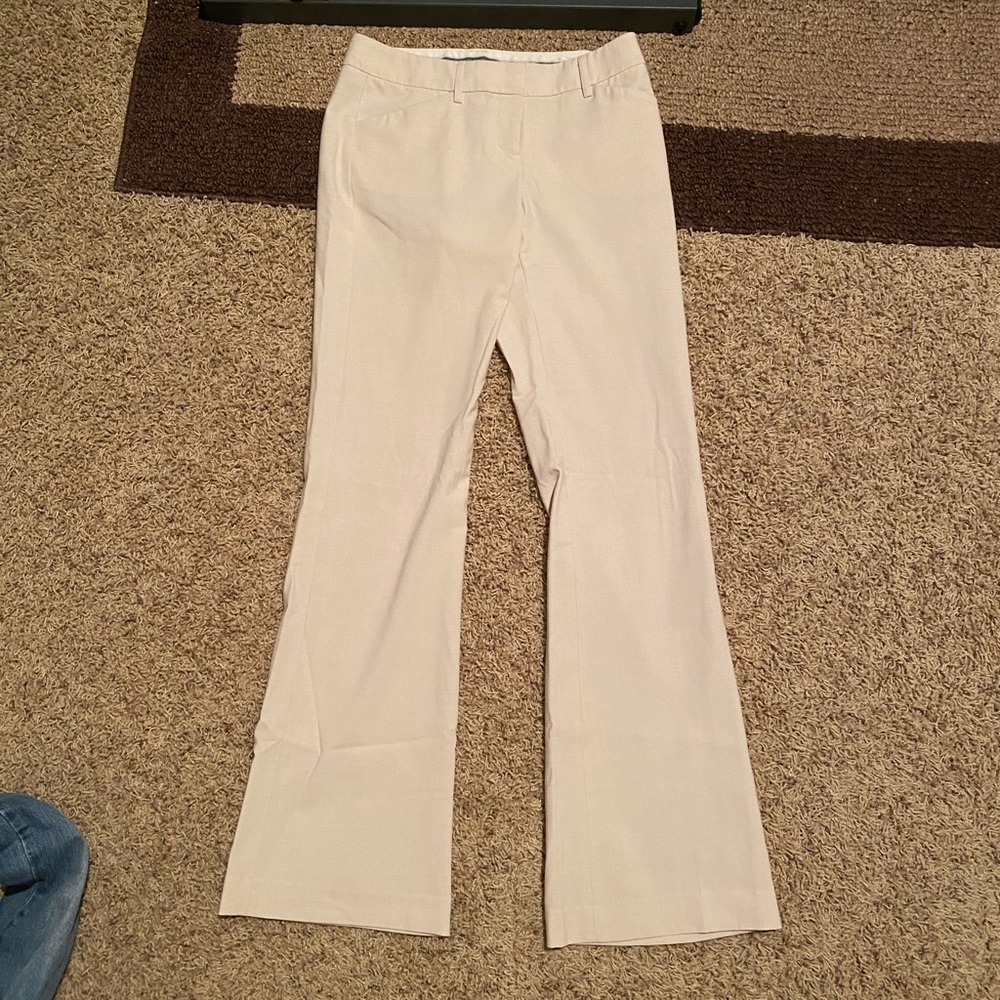 Express Design Studio Editor Pants